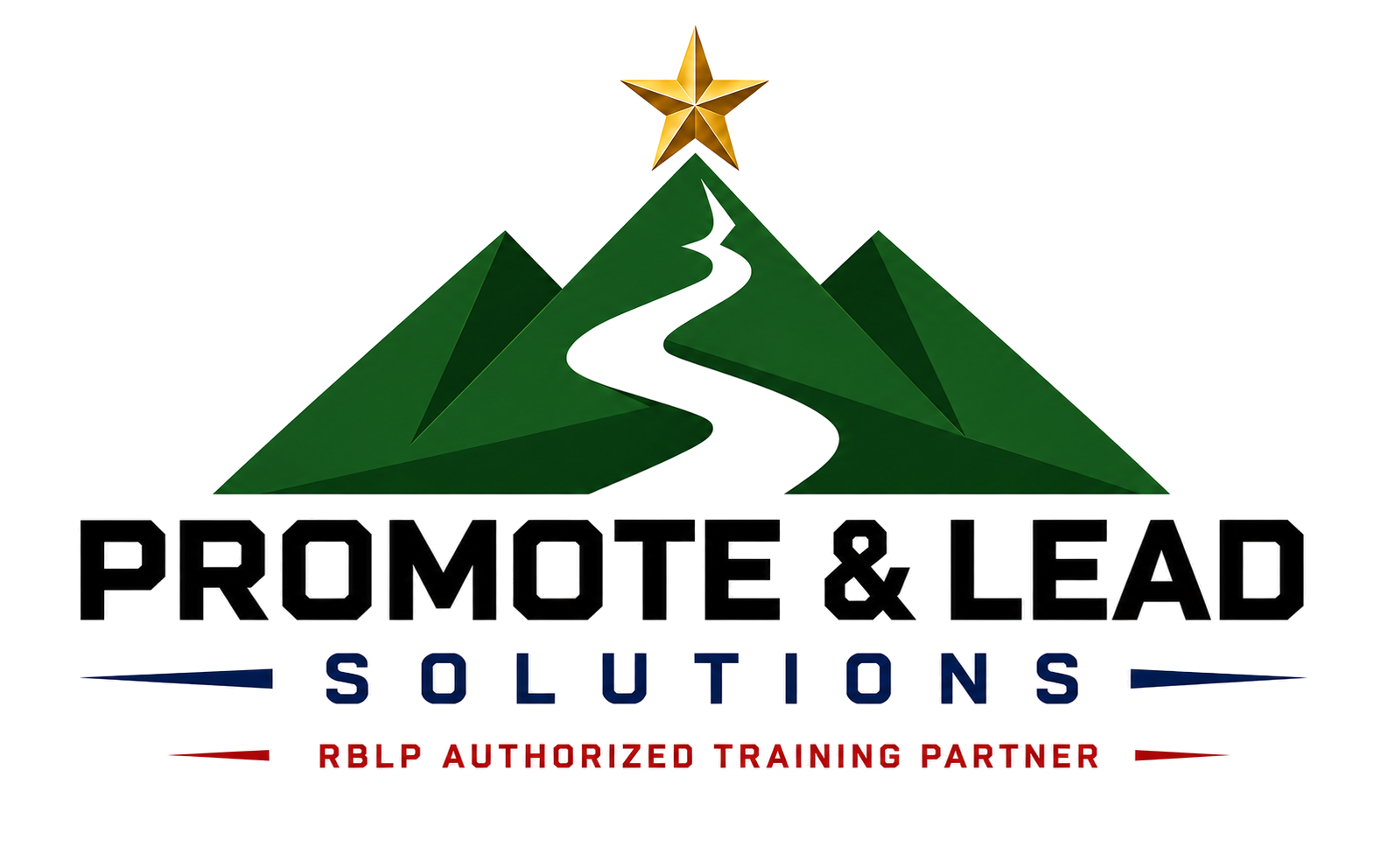 Promote and Lead Solutions